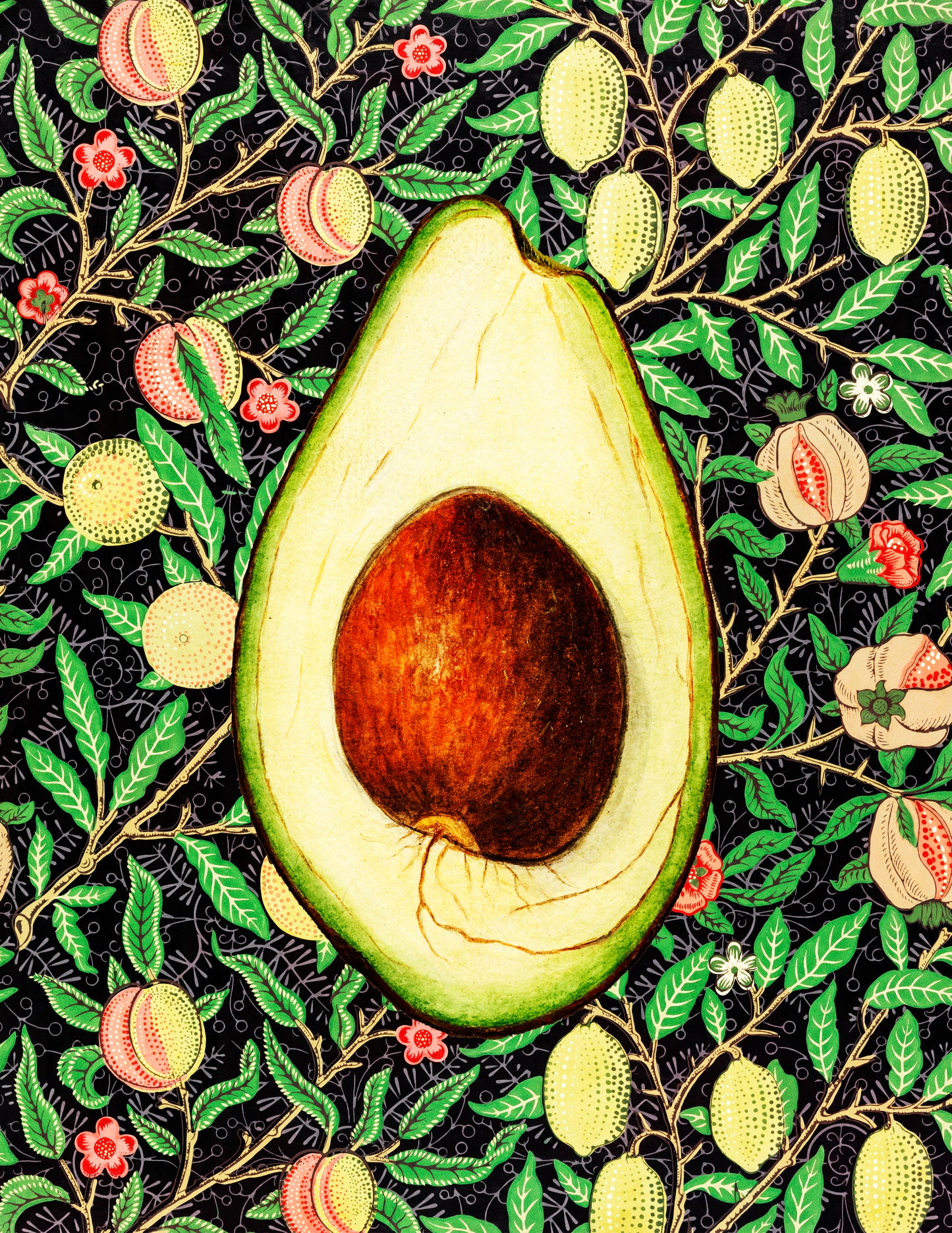Palta UNITARIO