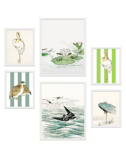 Aves posadoras COMPOSICIÓN