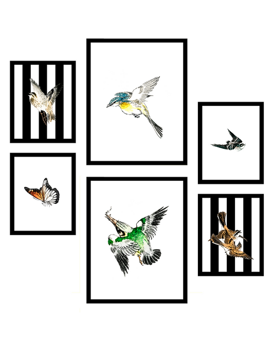 De Vuelo COMPOSICIÓN