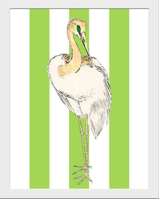 Señor Pluma UNITARIO