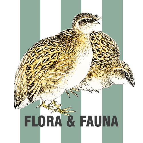 Flora & Fauna
