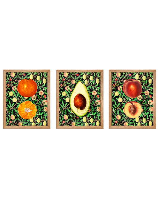 Morris kitchen TRILOGÍA