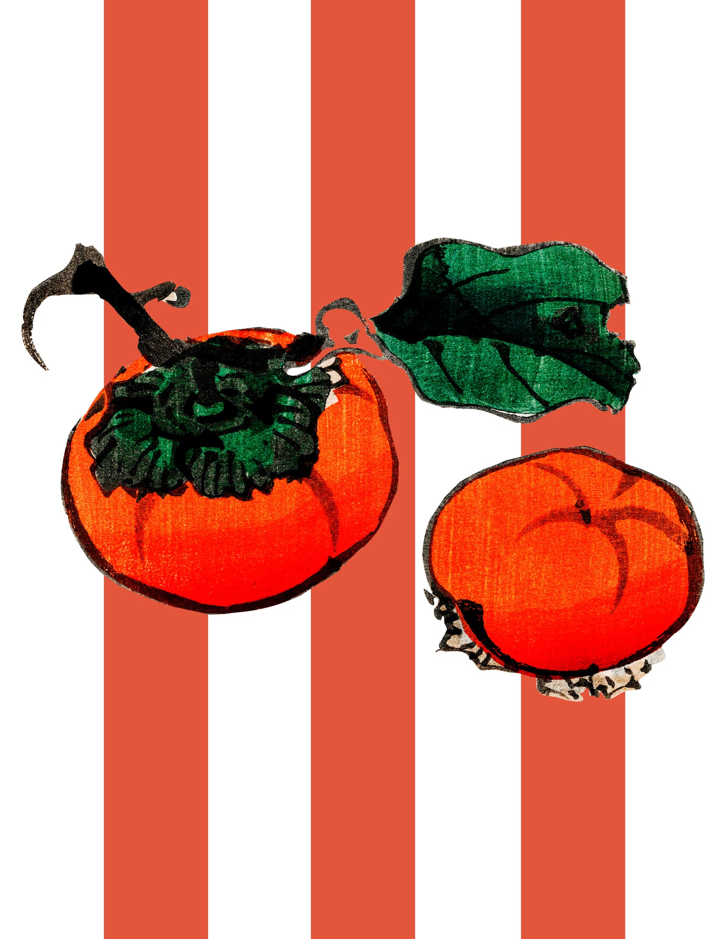 Caquis UNITARIO