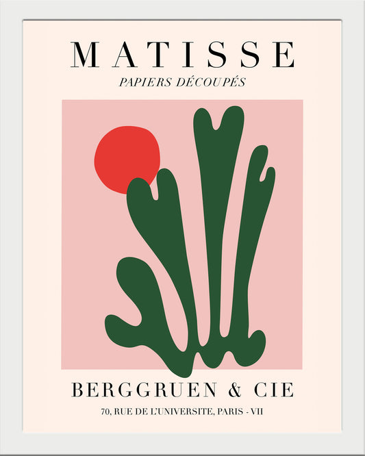 Alga de sol UNITARIO