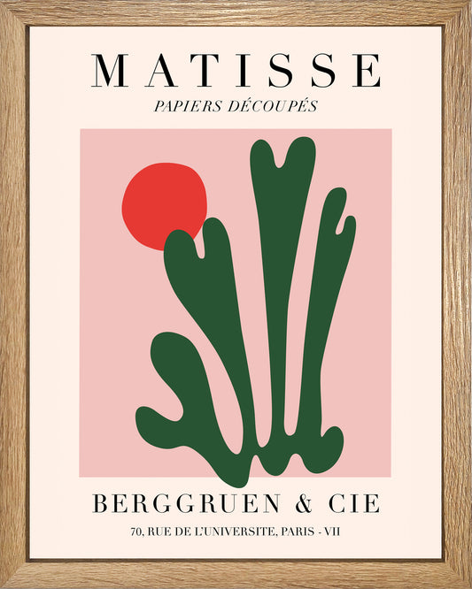 Alga de sol UNITARIO