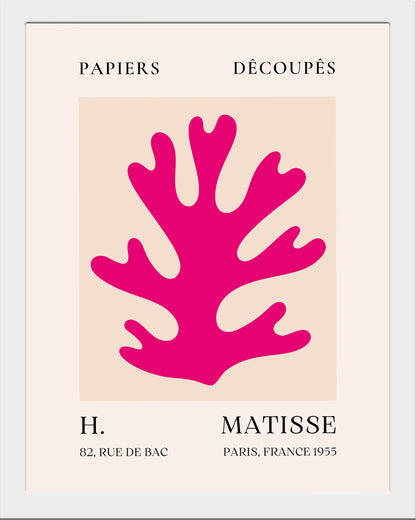 Alga furiosa UNITARIO