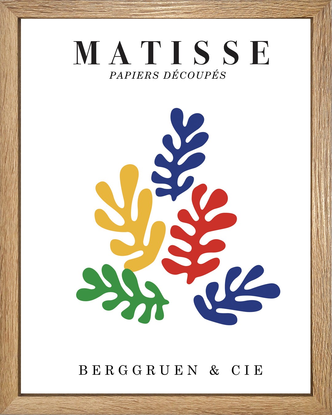 Algas básico UNITARIO