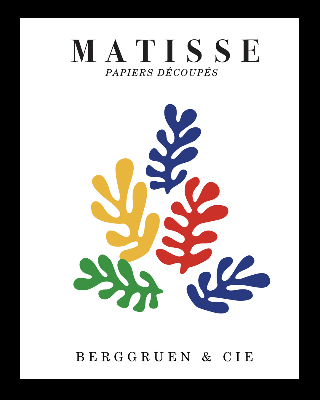 Algas básico UNITARIO