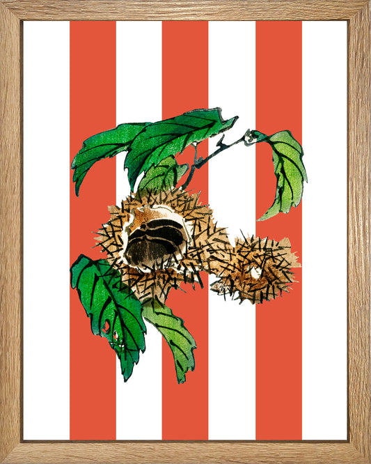 Castaño sandía UNITARIO