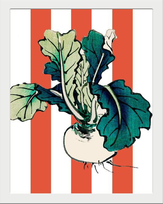 Nabo sandía UNITARIO