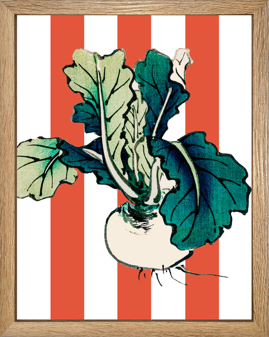 Nabo sandía UNITARIO