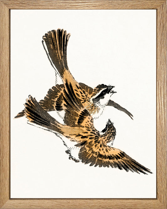 De fiesta al vuelo  UNITARIO