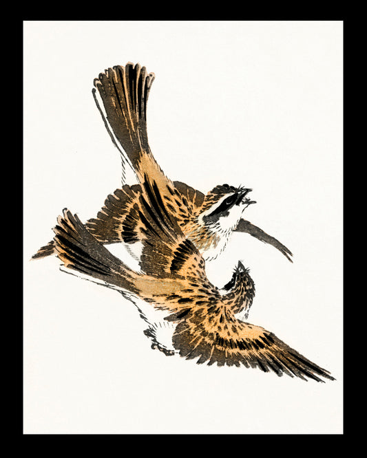 De fiesta al vuelo  UNITARIO