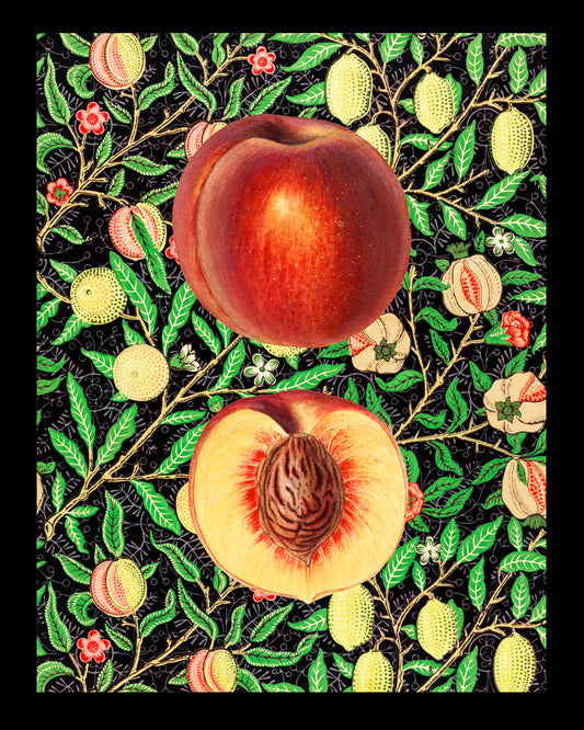 Duraznos Morris UNITARIO