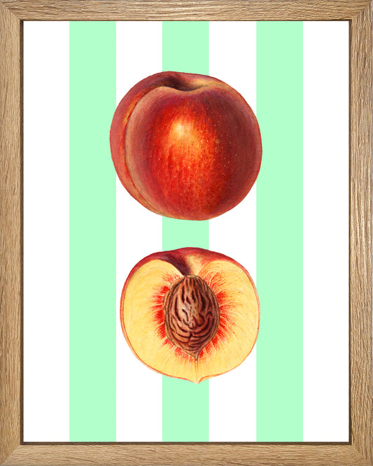 Durazno primaveral UNITARIO