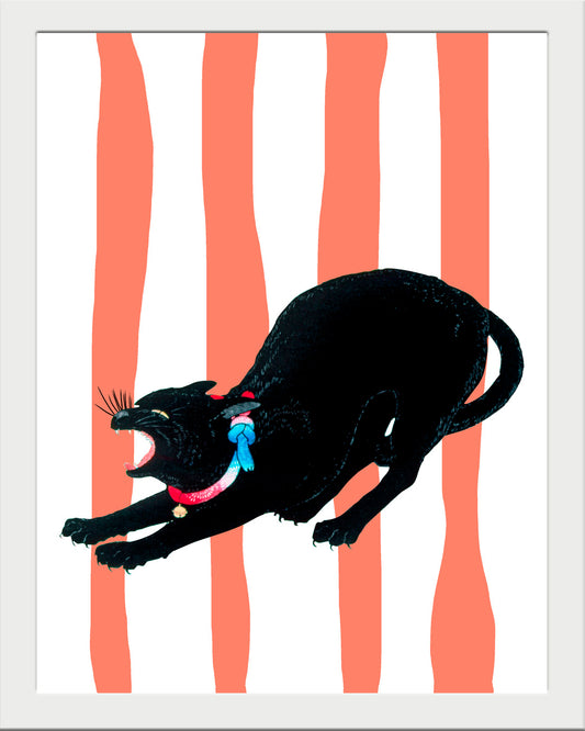 Hiro Cat UNITARIO