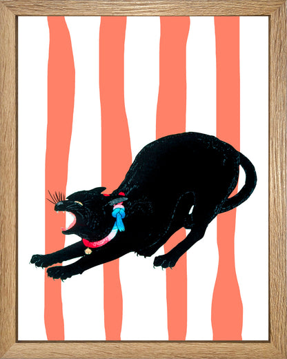 Hiro Cat UNITARIO