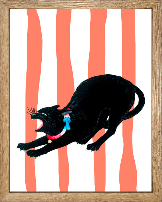 Hiro Cat UNITARIO