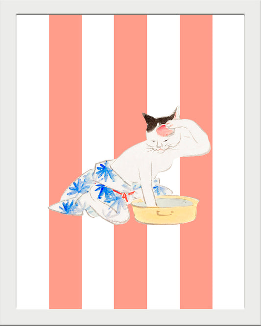 Gata lavandera UNITARIO