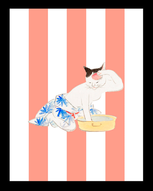 Gata lavandera UNITARIO