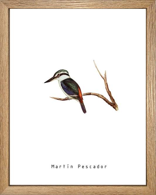 Martín Pescador UNITARIO