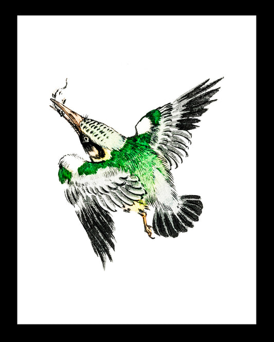 Martín Pescando UNITARIO