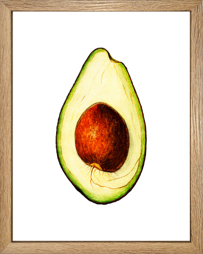 Palta UNITARIO