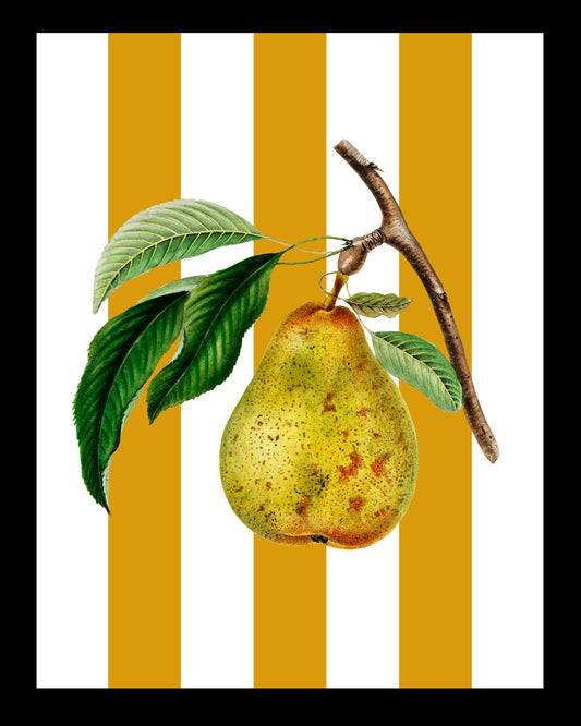 Peras elegantes UNITARIO