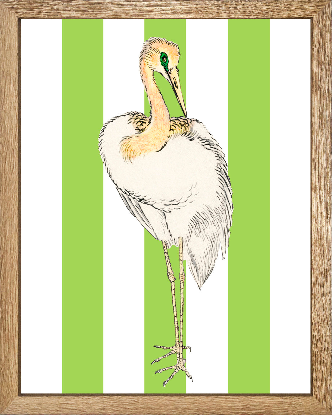 Señor Pluma UNITARIO