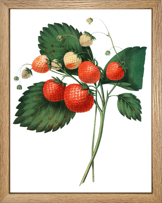 Simples frutillas UNITARIO